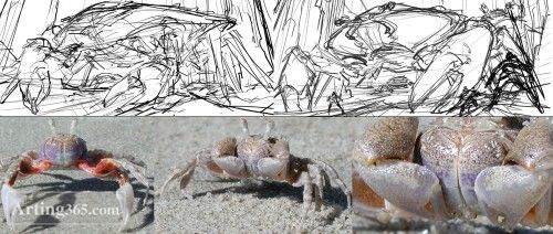 手绘教程 《人蟹大战》（图二）