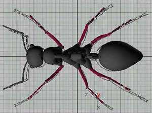 深入了解3DMAX建模技术--蚂蚁实例（下）