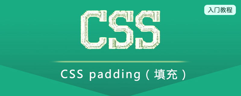 CSS 填充（Padding）