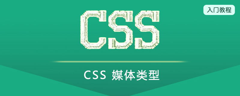 CSS 媒体类型(Media Type)