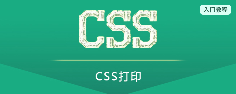 CSS打印(Print)